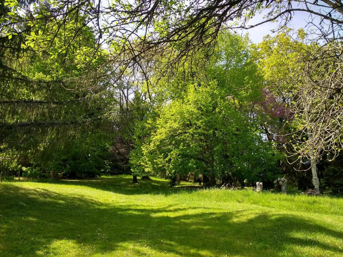 Pyrenees Vue Gite - Vues Fantastique, Parking Gratuit Sur Place & Piscine Saint Gaudens Exterior photo