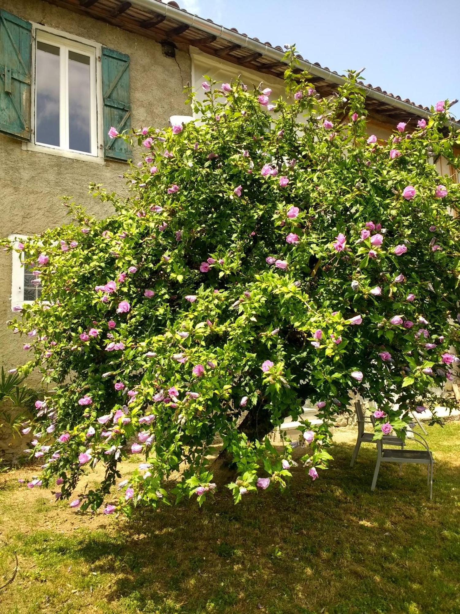 Pyrenees Vue Gite - Vues Fantastique, Parking Gratuit Sur Place & Piscine Saint Gaudens Exterior photo